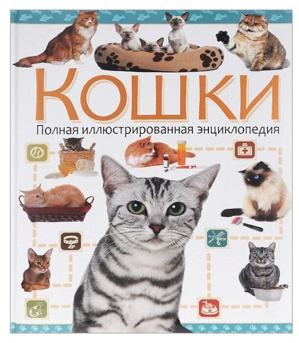 Книги о кошках. Энциклопедия. Кошки. Энциклопедия кошек книга. Большая иллюстрированная энциклопедия кошки. Книги про кошек для детей.