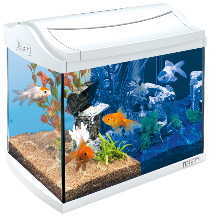 аквариум tetra aquaart led discover line 20l, аквариум tetra aquaart led goldfish 30л белый 39х27,5х42см, аквариум gold fish 30л, аквариум тетра 20 литров